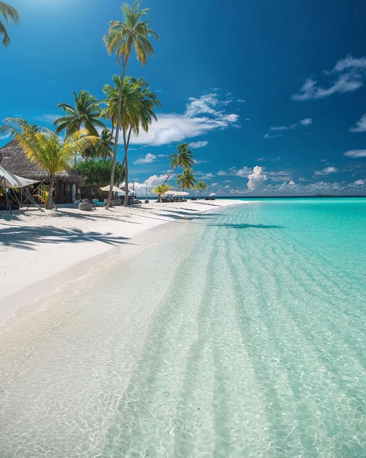 Maldive